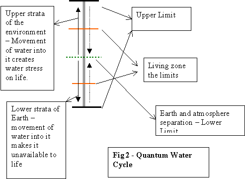 Quantum Water Cycle